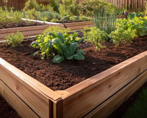 Gardenbed