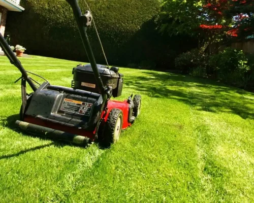 Lawn Care & Maintenance