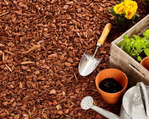 mulch