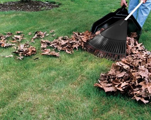 yardcleanup